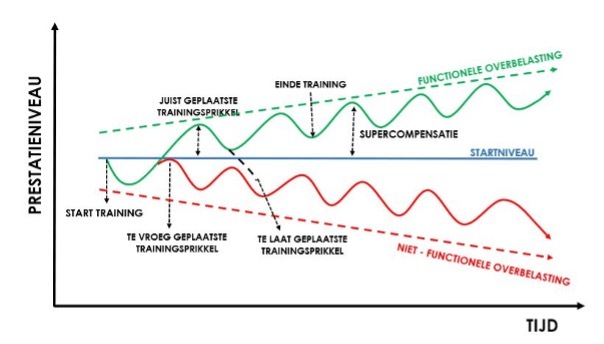Progressive overload
